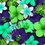 Colour:C