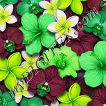 Colour:D