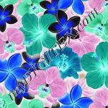 Colour:F