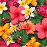 Colour:J