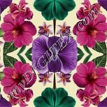 Colour:A