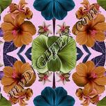 Colour:B