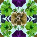 Colour:C