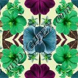 Colour:D