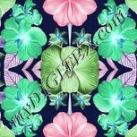 Colour:F