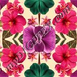 Colour:J