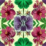 Colour:K