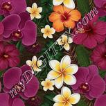Colour:A