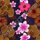 Colour:B