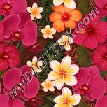 Colour:J