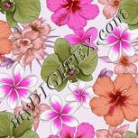 Colour:B