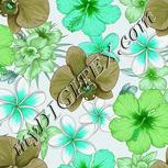 Colour:C