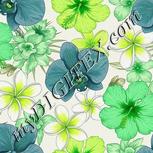 Colour:D