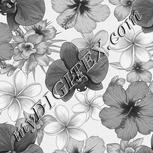 Colour:E