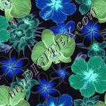 Colour:F