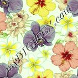 Colour:K