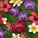Colour:A