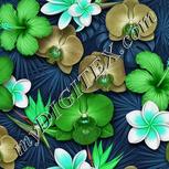 Colour:C