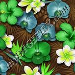 Colour:D