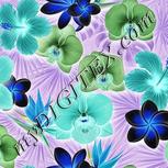 Colour:F