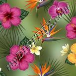 Colour:A