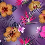 Colour:B