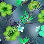 Colour:C