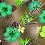 Colour:D
