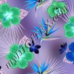 Colour:F