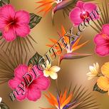 Colour:J