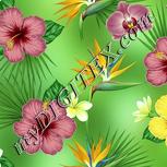 Colour:K