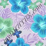 Colour:F
