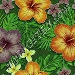 Colour:K