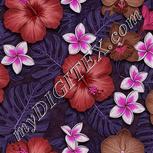Colour:B