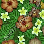 Colour:K