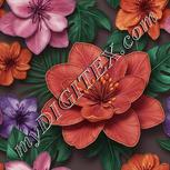 Colour:A