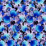 Colour:F