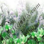 Colour:D