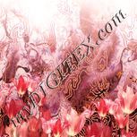 Colour:J