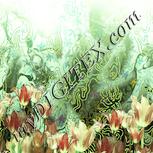 Colour:K