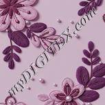 Colour:B