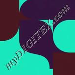 Colour:C