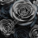 Colour:A