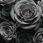Colour:B