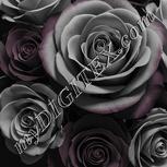 Colour:C