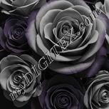 Colour:D