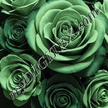 Colour:K