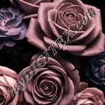 Colour:J