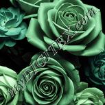 Colour:K