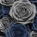 Colour:A